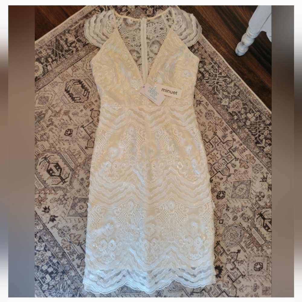 Minuet Petite Cream Lace Dress